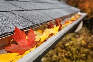 gutter cleaners in denver reviewed